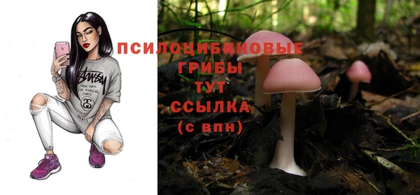 apvp Ельня