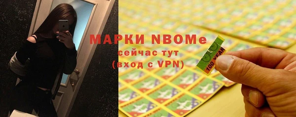 apvp Ельня