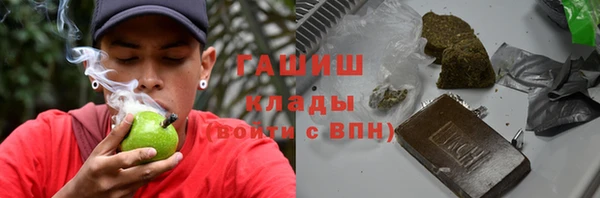 apvp Ельня