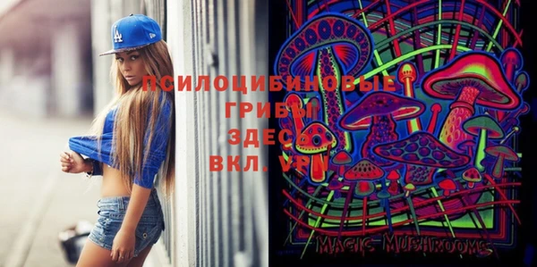 apvp Ельня