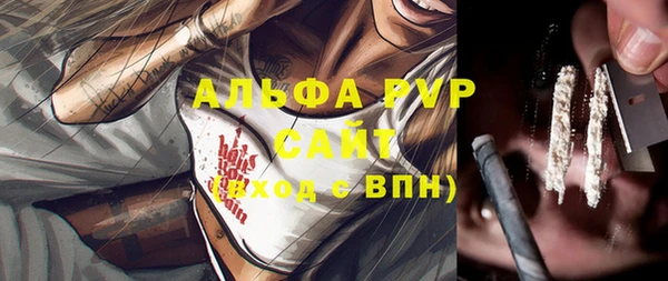 apvp Ельня