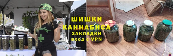 apvp Ельня