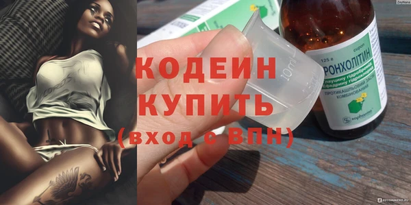 apvp Ельня