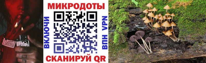 Галлюциногенные грибы Psilocybine cubensis  Искитим 