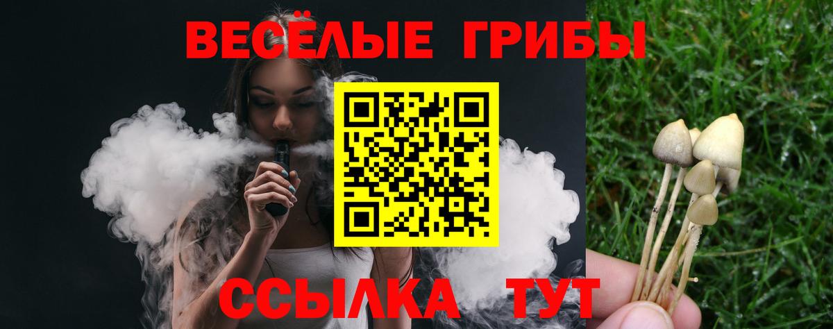 дарнет шоп  Галлюциногенные грибы Psilocybine cubensis  Вход с VPN  Искитим 